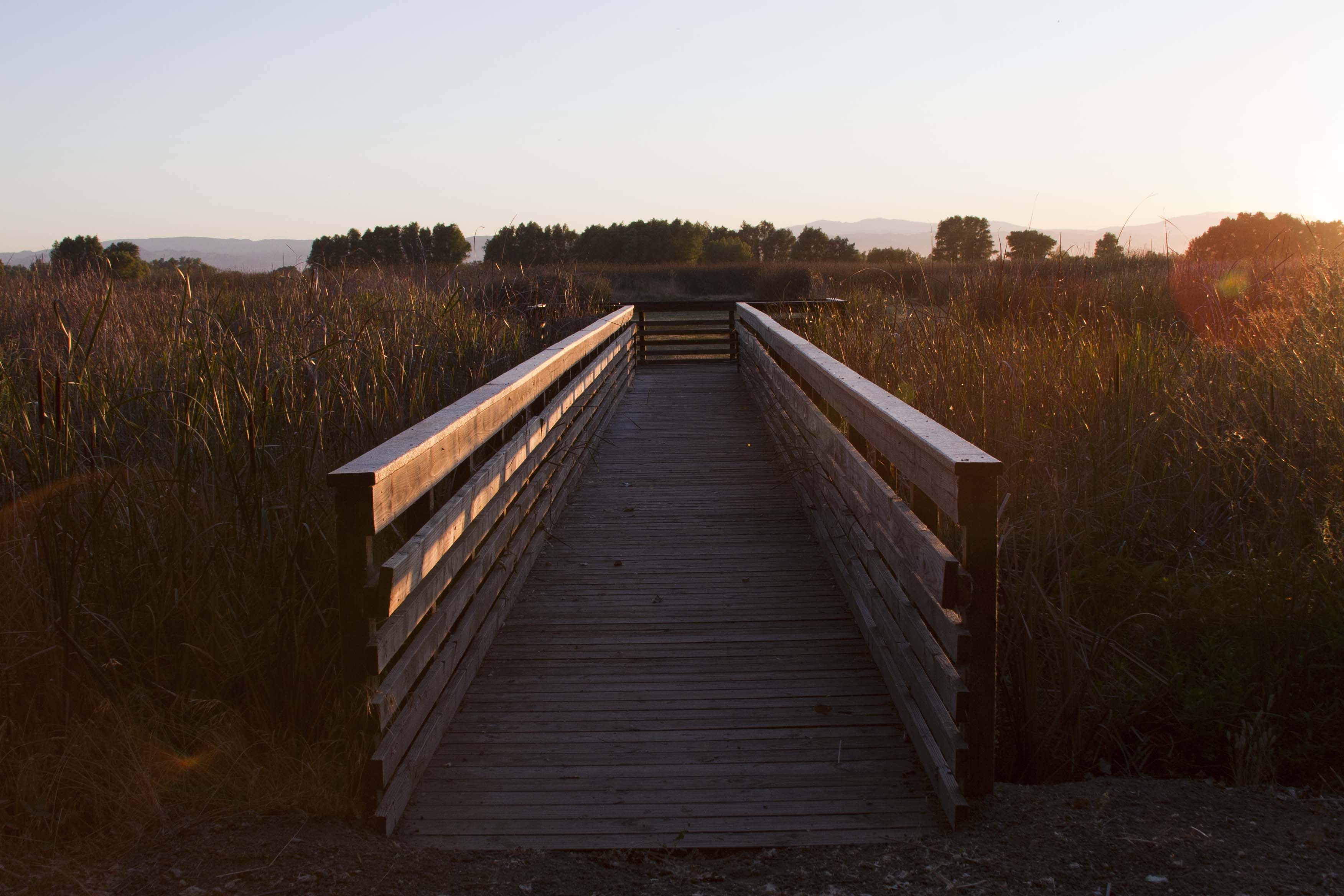 Colusa Refuge observation boardwalk at Sacramento National Wildlife Refuge Complex FWS.gov